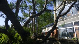 Ming Shan Villa - Dashu - 8