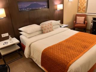 Hotel Teo Grand Near IGI Airport - Nuova Delhi - 1