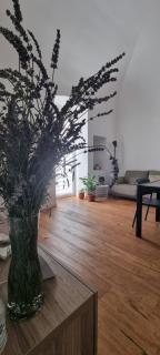 Carmela's guest house - Castellana Grotte - 3