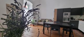 Carmela's guest house - Castellana Grotte - 4