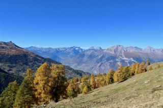Pracondu 1 204 - OUTDOOR & FUN charming apartment - Nendaz - 2