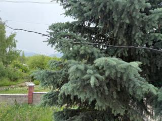 Green yard Guest house Barskoon - Barskoon - 6