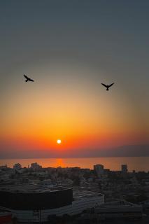 דירת נופש - Tiberias - 3