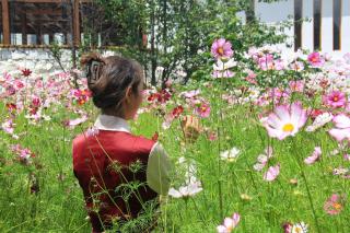 Tibetan boutique hotel - Xiangcheng - 5