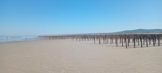 Au bord des Dunes - 7