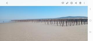 Au bord des Dunes - 8