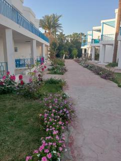 Mirage Aqua Park Villa - Hurghada - 3