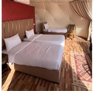 Rum rose luxury camp - Wadi Rum - 8