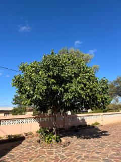Agago Boon Guest house - Serowe - 9