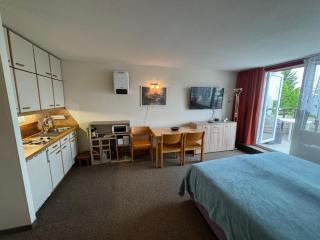 Hainz Panorama Fernblick mit Sauna und Pool - Sankt Englmar - 7