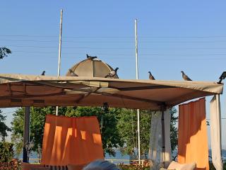 Agathoupoli beach - - 2