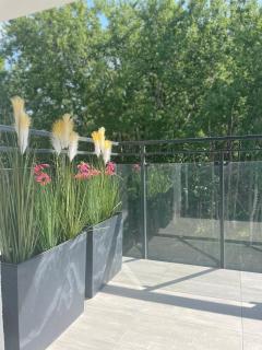 Apartament Zielona Dzielnica - Gliwice - 1