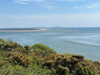 Elm Rise Place - Llangain - 3