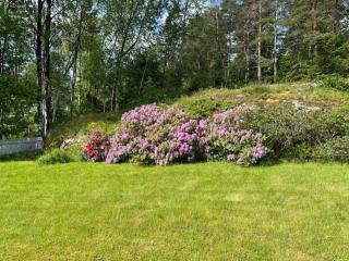Harald's Borg - Urdal - Kirkøy - - 8