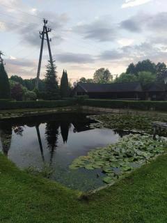 Nad stawami - apartament - Białowieża - 9