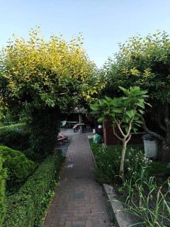 Nad stawami - apartament - Białowieża - 3
