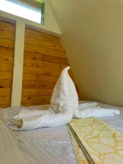 Paco Thrill Haven - 7