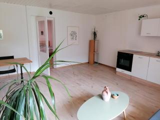 Apartment in Erlach - 1