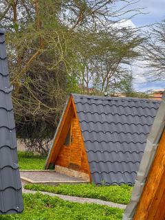 Paco Thrill Haven - 3