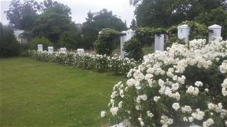 Bell Guesthouse - Somerset East - 9