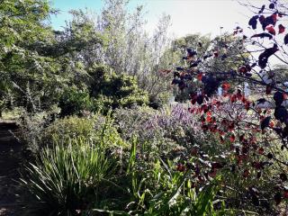 Bell Guesthouse - Somerset East - 2