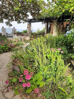 GIARDINO BLU OLTREMARE - exlusive garden - Procida - 7