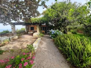 GIARDINO BLU OLTREMARE - exlusive garden - Procida - 5