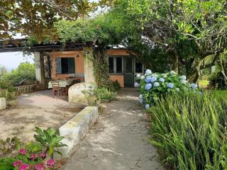 GIARDINO BLU OLTREMARE - exlusive garden - Procida - 4