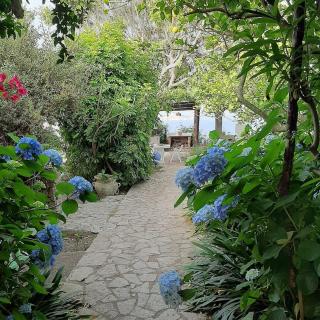 GIARDINO BLU OLTREMARE - exlusive garden - Procida - 2