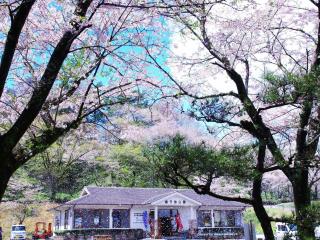 Airy Peak - Vacation STAY 82764v - Takaharu - 8
