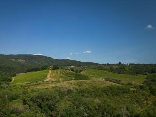 Camping Il Poggetto - 3