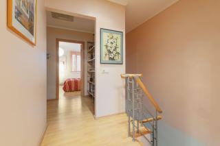 Baltic Pine - 5