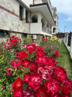 Cozy 1 bed apartment in Lesso Complex (Ravda, Nessebar) - Ravda - 2