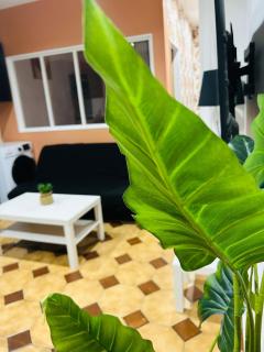 Appartement lumineux - Tourcoing - 9