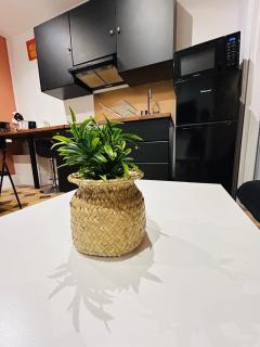 Appartement lumineux - Tourcoing - 6