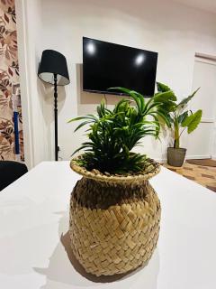 Appartement lumineux - Tourcoing - 5