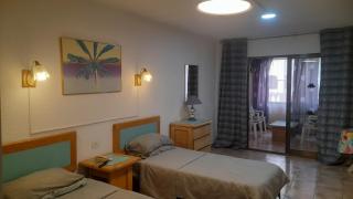 Homestay Studio in Los Cristianos - Los Cristianos - 0