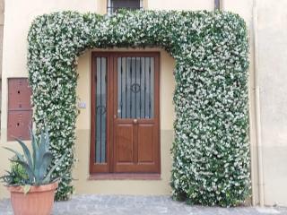 Il Gelsomino - Borgo Lago - Capodimonte - 9