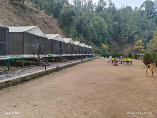 CARAVAN CAPMS - 7