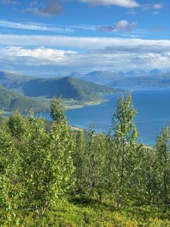 Scenic Apartment, Free Parking & Near Center - Tromsø - 2