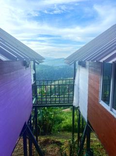 Flora Cottages - 3