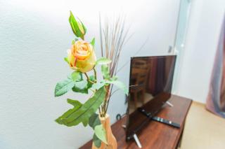 060 La Mata Beach - Alicante Holiday - 3