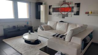 Sweet home avec vue incroyable lac leman proche lausanne - Belmont-sur-Lausanne - 0