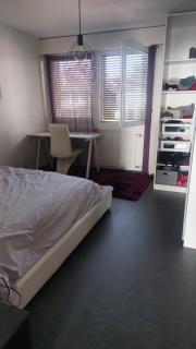 Sweet home avec vue incroyable lac leman proche lausanne - Belmont-sur-Lausanne - 3