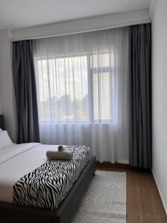 Hobbystay, Ruaka near UN & Two Rivers Pool & gym - Nairobi - 3