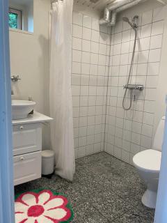 Haveannex med orangeri - Kværndrup - 3