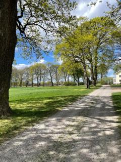 Snickarboden - Ingelstad - 5