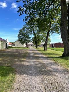 Snickarboden - Ingelstad - 2