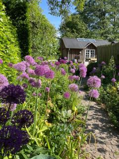 Haveannex med orangeri - 9