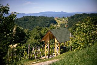 Vineyard cottage Škatlar 3 - Otočec - 5